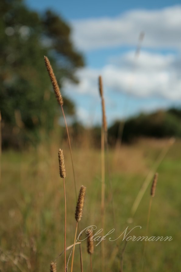 20170902_144839_4841